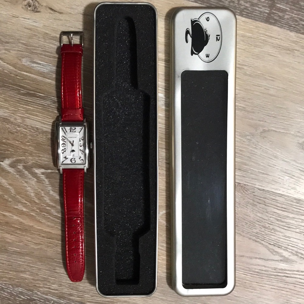 Phatcat watch, used